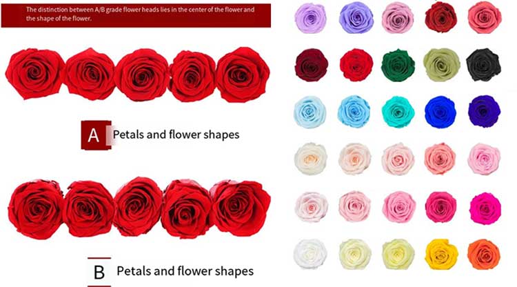 Eternal Flower Keychains Eternal Flower Keychains