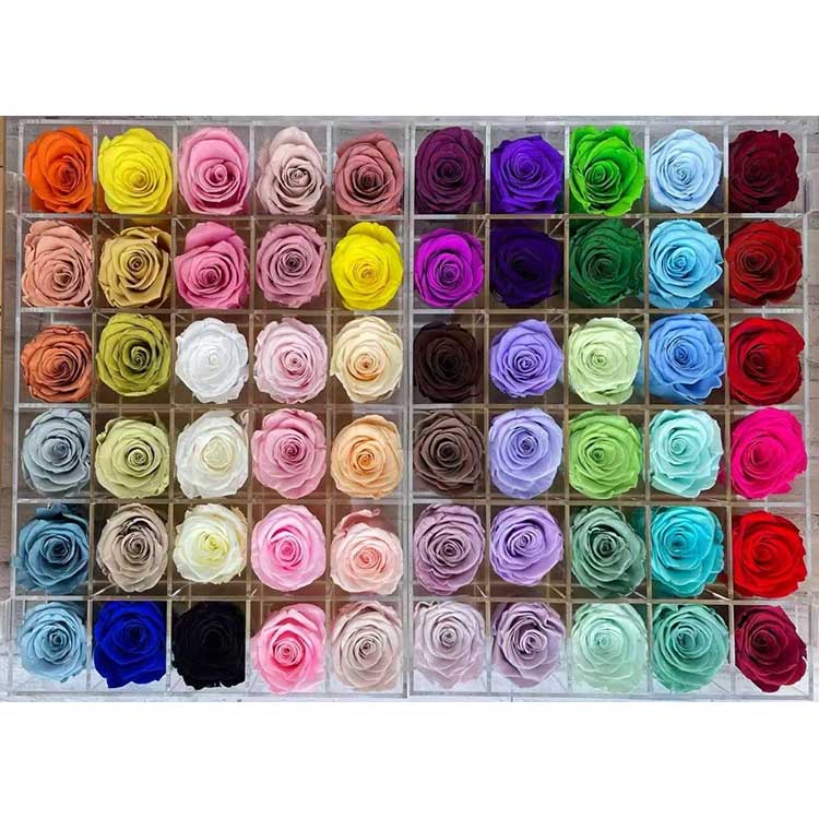 Rósanna Caomhnaithe