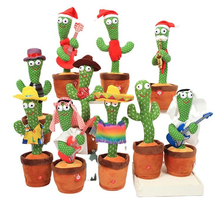 Cactus Damhsa USB